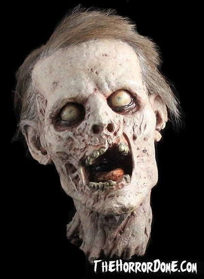  "Zombie Head" HD Studios Halloween Prop