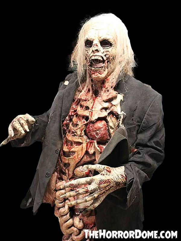  "Zombie Walker" HD Studios Pro Costume