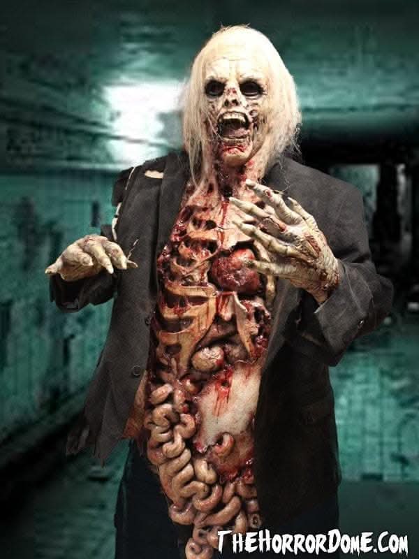  "Zombie Walker" HD Studios Pro Costume