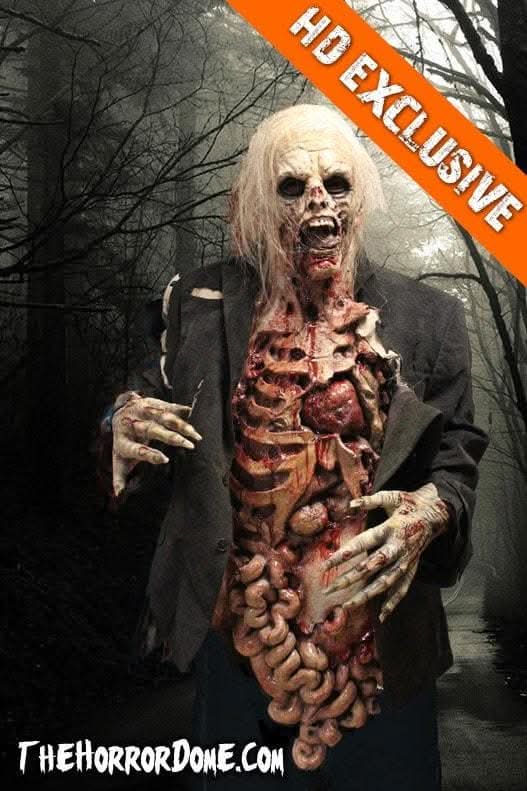  "Zombie Walker" HD Studios Pro Costume