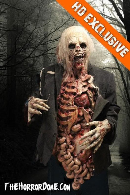  "Zombie Walker" HD Studios Pro Costume